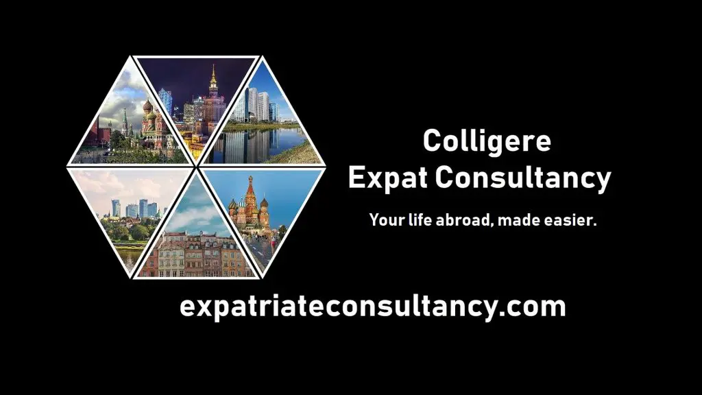 Expatriate Consultancy