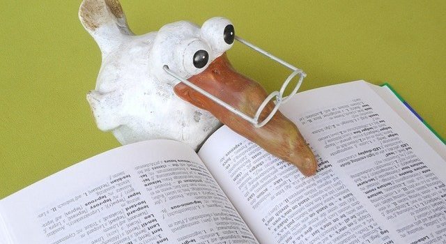 A bird reading a book for Immigrant Adaptation