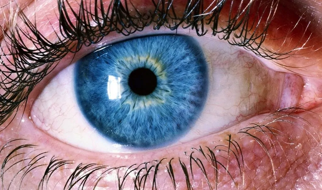 Is Social Media Negative? Eyeball Photo