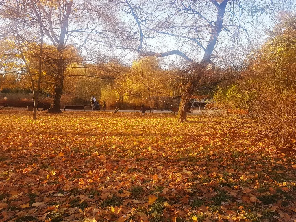 Złota jesień in Poland, the best country to visit in Europe in October