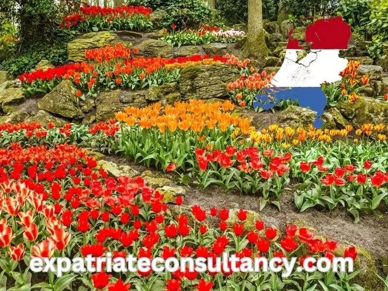 Keukenhof Gardens (Netherlands)