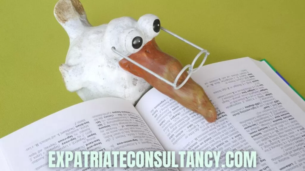 Bird reading a book to illustrate article about translation services - one of the Top 5 Fiverr gigs for expatriates looking for a source of income.