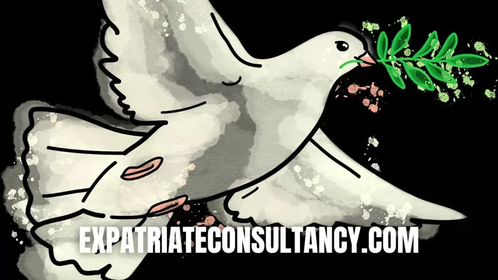 While wishing that you would never use it, we hope this article about how to survive in a war was useful to you.