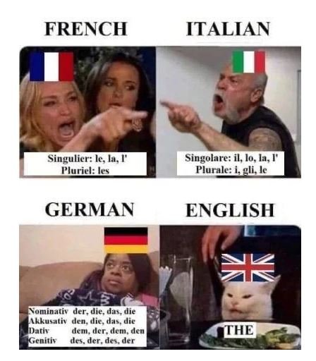 Meme language learning