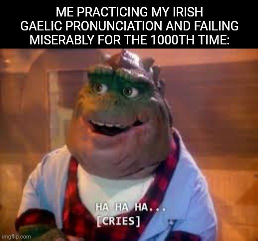 Meme about Irish Gaelic