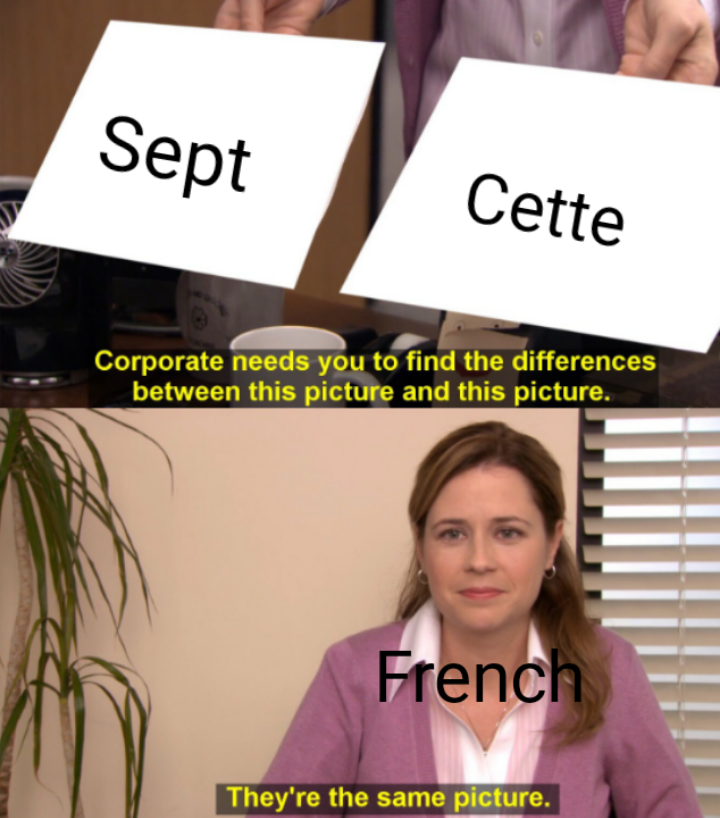 Meme about French Language