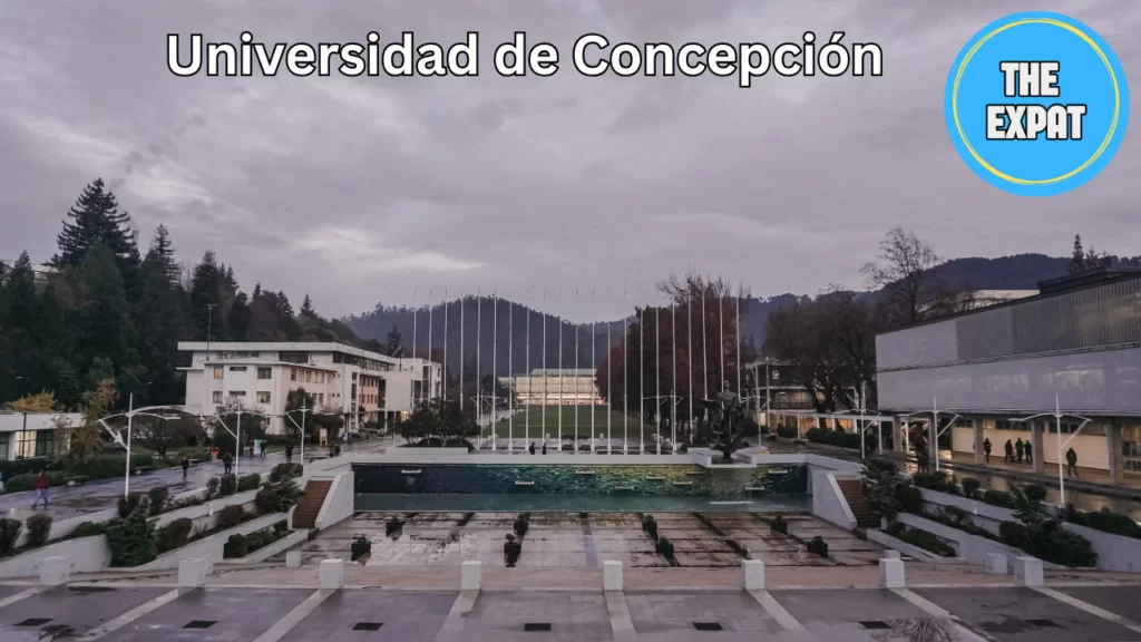 Concepcion (3)