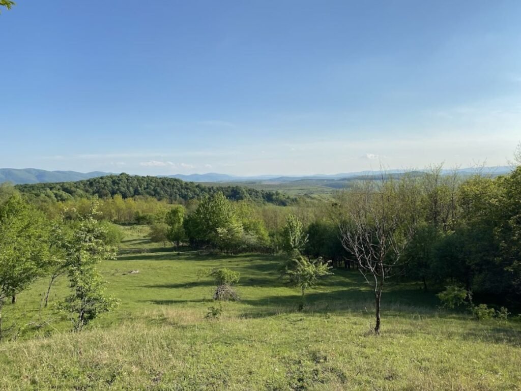 Nordvest, one of the cheapest places to buy farmland in Europe